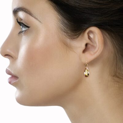 100640-pearl-paradise-dangle-earring-original-imae3jspzgfmmna6.jpeg